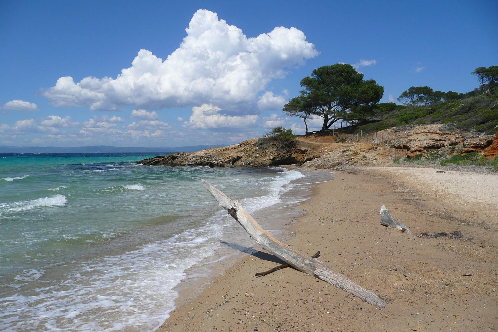 รูปถ่าย ฝรั่งเศส(France) เกาะปอร์เกอรอล(Porquerolles Island) หาดกูร์ตาด(Courtade beach) 2008-05 30