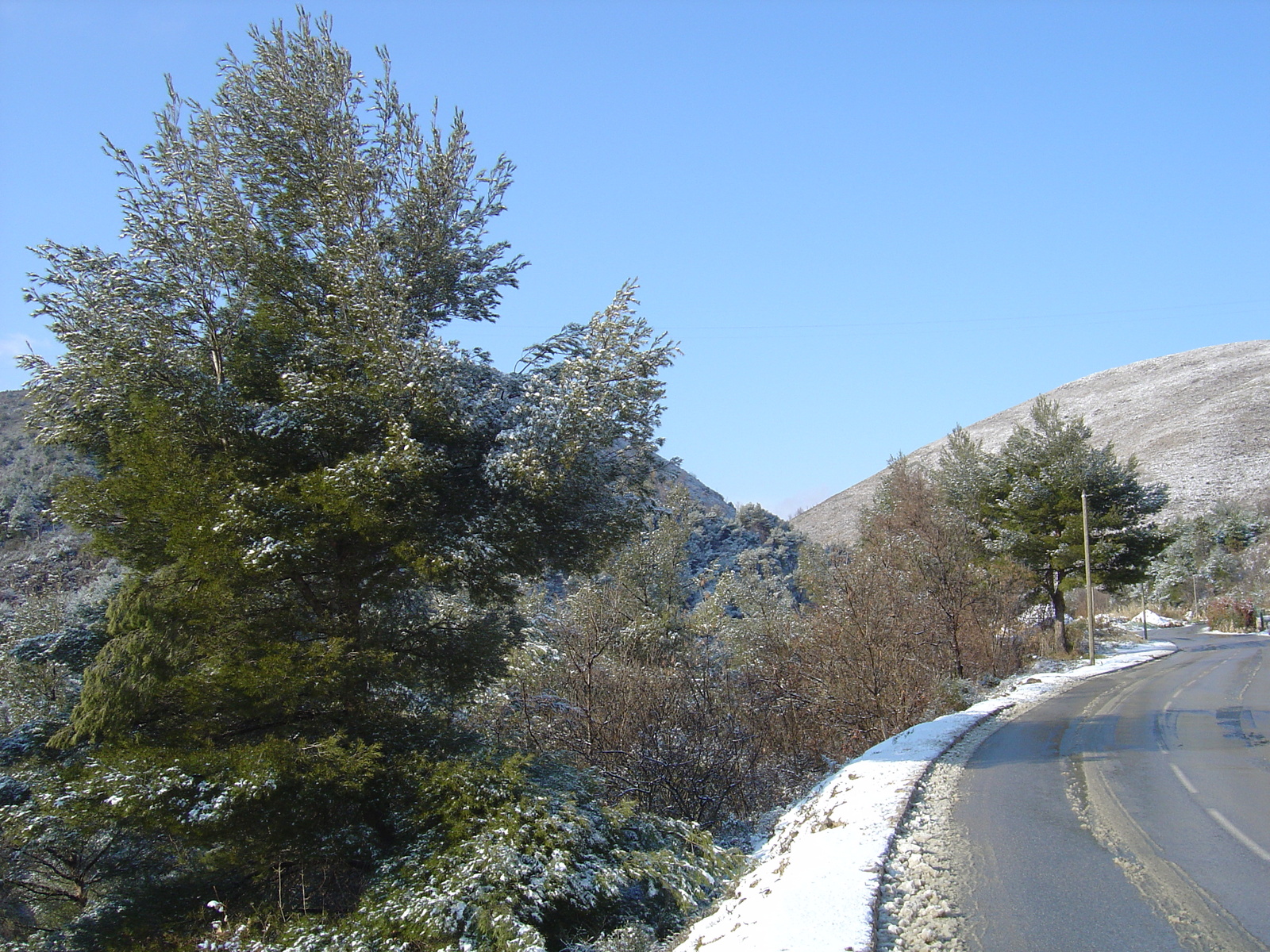รูปถ่าย ฝรั่งเศส(France) วังซ์(Vence) 2005-02 13