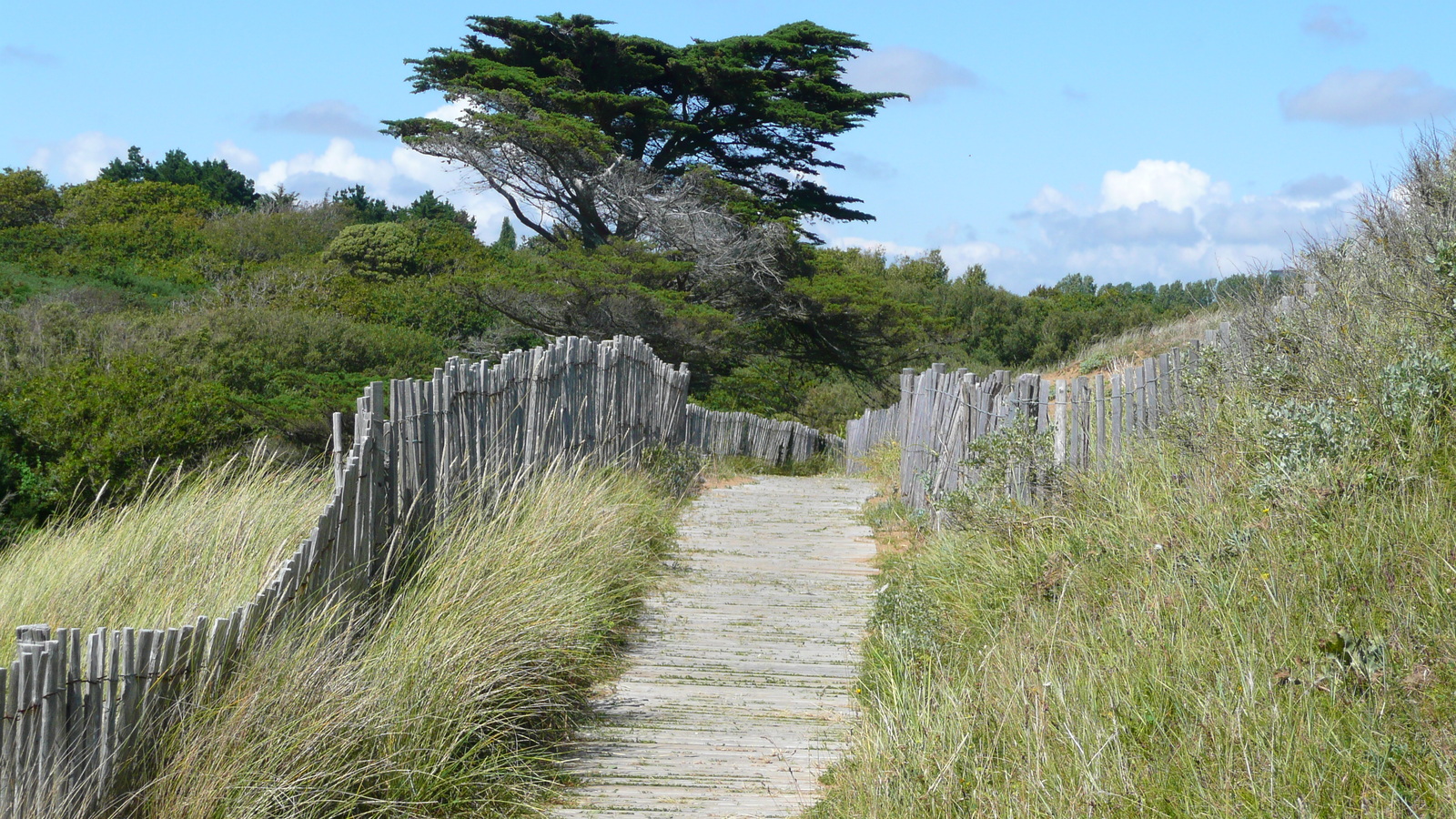 รูปถ่าย ฝรั่งเศส(France) ปอร์นิค(Pornic) หาดเลตัง(Plage de l'etang) 2007-07 27
