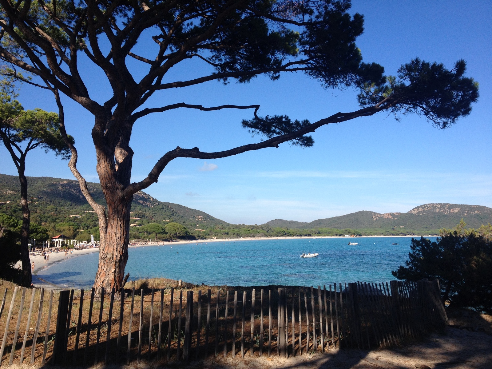 รูปถ่าย ฝรั่งเศส(France) คอร์สิคา(Corsica) ปาลอมบัจจา(Palombaggia) 2012-09 36
