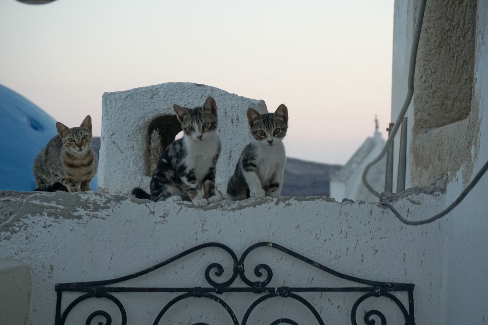รูปถ่าย กรีก(Greece) ซานโตรินี(Santorini) 2016-07 82