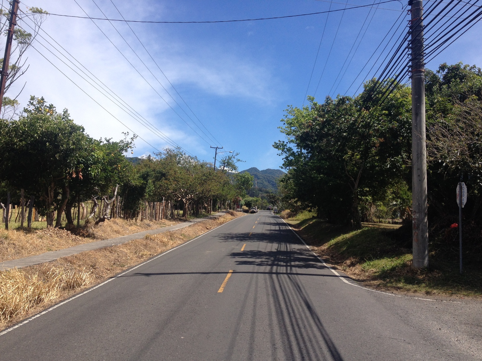 รูปถ่าย ปานามา(Panama) โบเกเต(Boquete) 2015-03 9