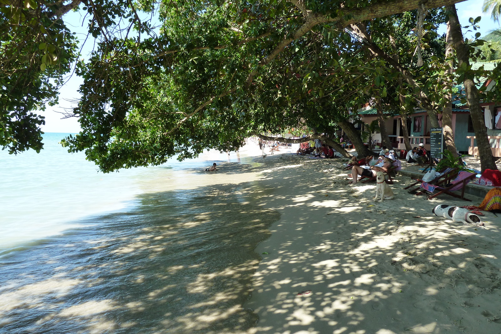 รูปถ่าย ไทย(Thailand) เกาะช้าง(Ko Chang) 2011-01 18