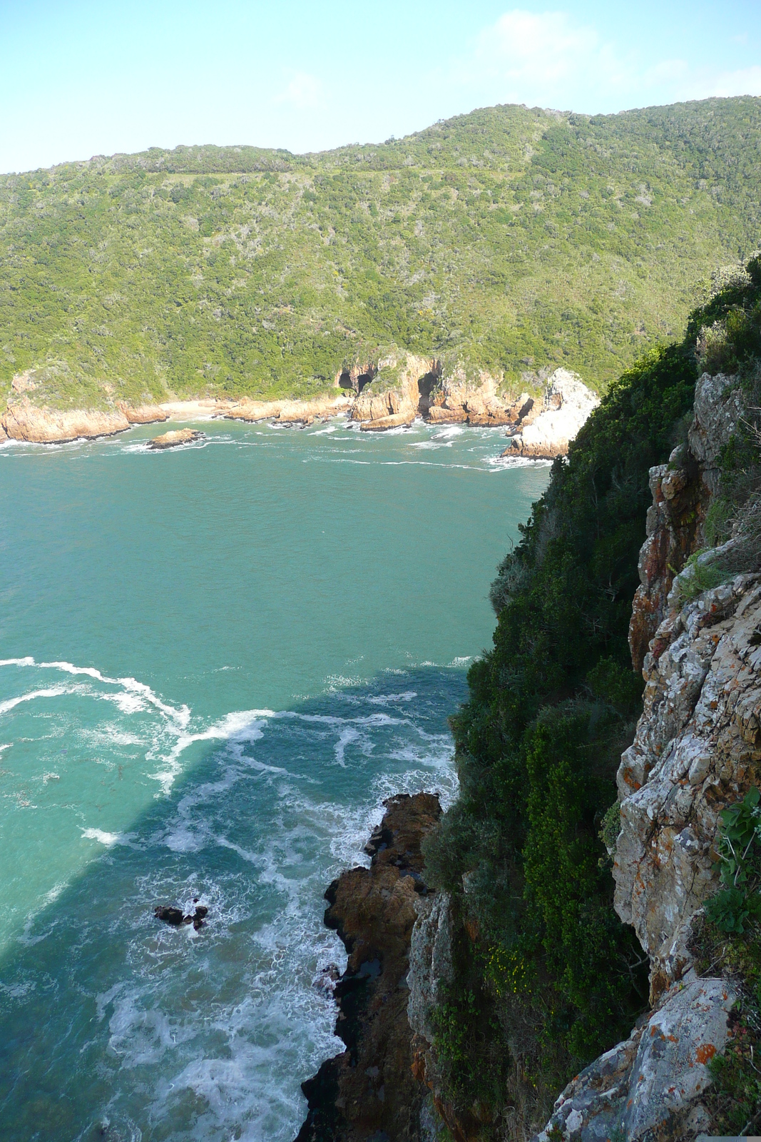 รูปถ่าย แอฟริกาใต้(South Africa) ไนส์นาเฮดส์(Knysna Heads) 2008-09 11