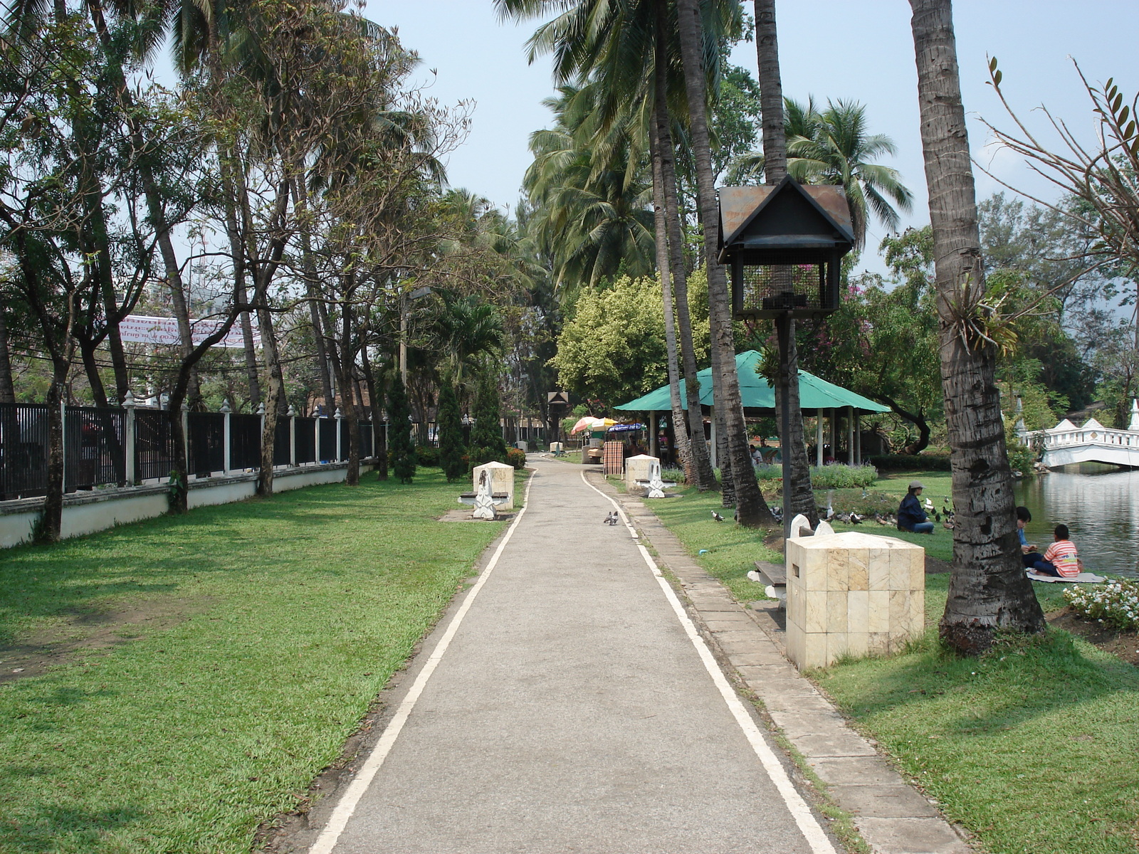 รูปถ่าย ไทย(Thailand) เชียงใหม่(Chiang Mai) ข้างในคุเมืองเชียงใหม่(Inside Canal) สวนบวกหาด(Buak Had Park) 2006-04 7
