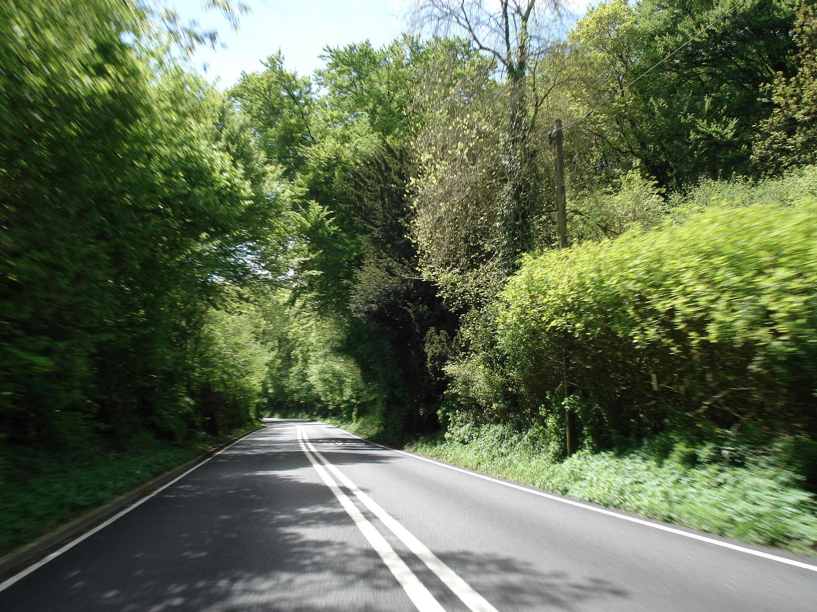 รูปถ่าย อังกฤษ(United Kingdom) เปมโบรคเชอร์(Pembrokeshire) 2006-05 37