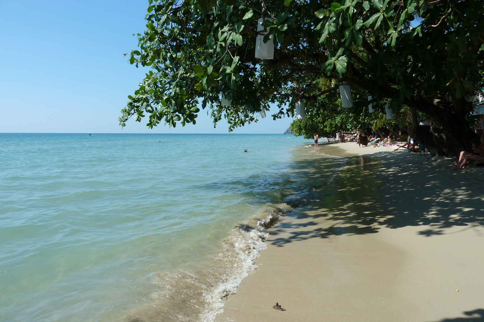 รูปถ่าย ไทย(Thailand) เกาะช้าง(Ko Chang) 2011-01 8