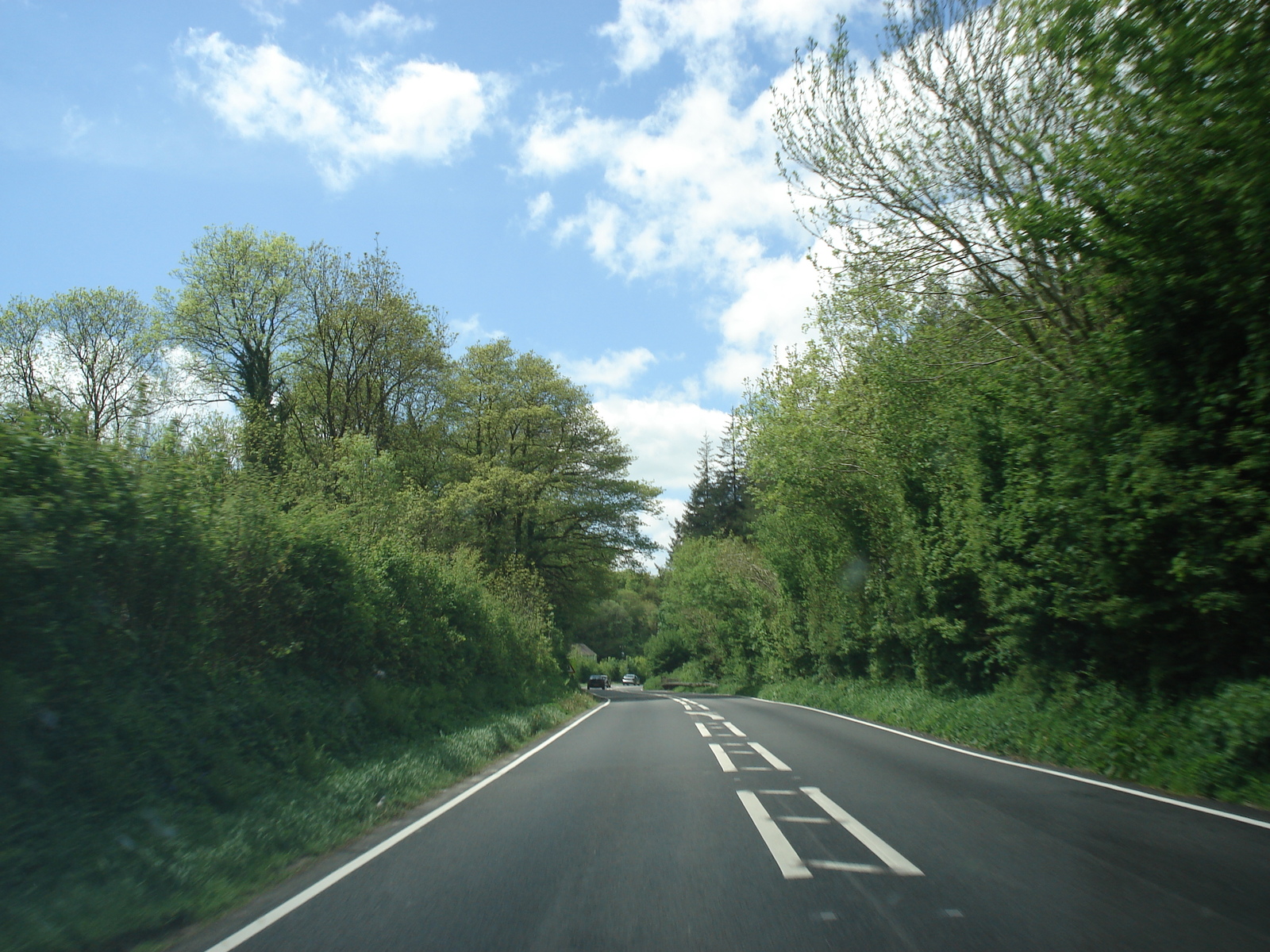 รูปถ่าย อังกฤษ(United Kingdom) เปมโบรคเชอร์(Pembrokeshire) 2006-05 48