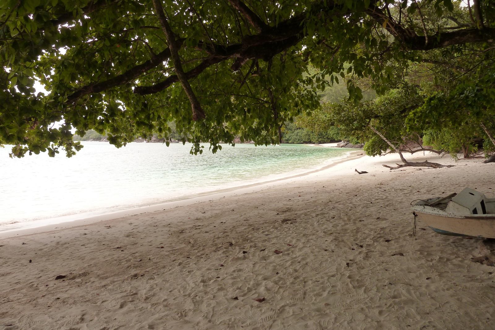 รูปถ่าย เซเชลส์(Seychelles) เกาะมาเฮ(Mahe) 2011-10 77