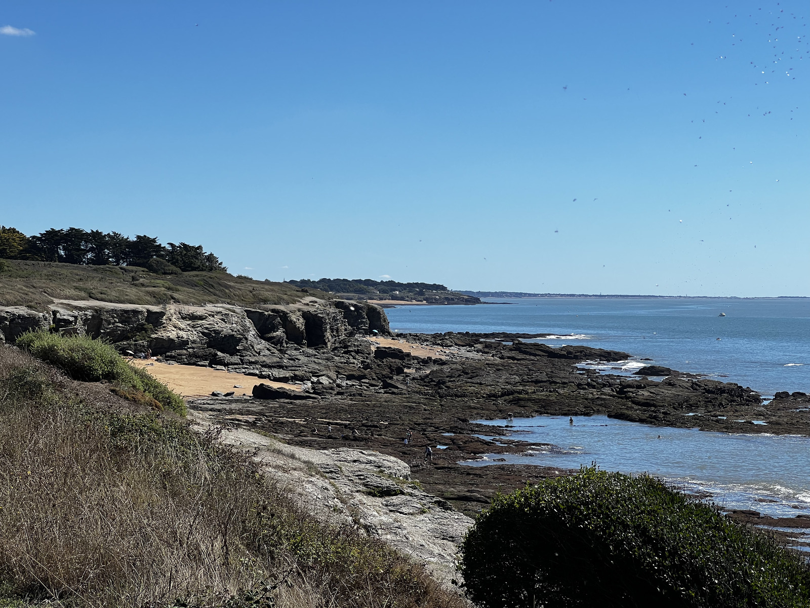 รูปถ่าย ฝรั่งเศส(France) ลาแปลน-ซูร์-แมร์(La Plaine sur mer) 2022-09 73