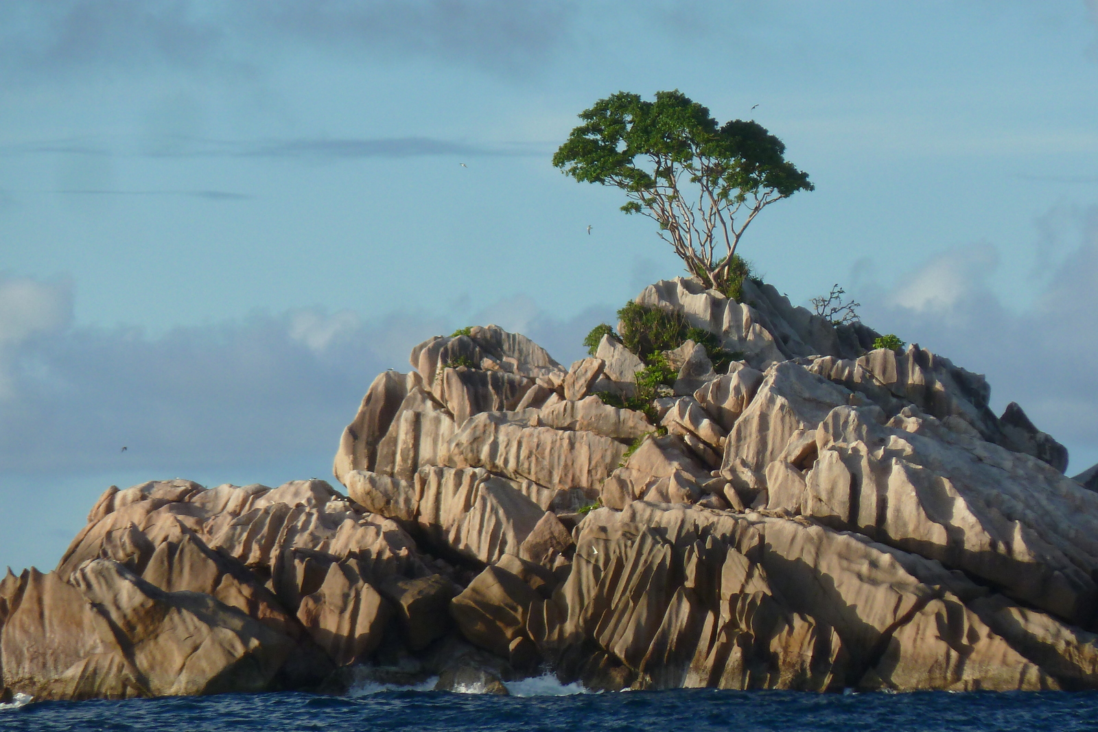 รูปถ่าย เซเชลส์(Seychelles) เกาะปราลิน(Praslin) 2011-10 81