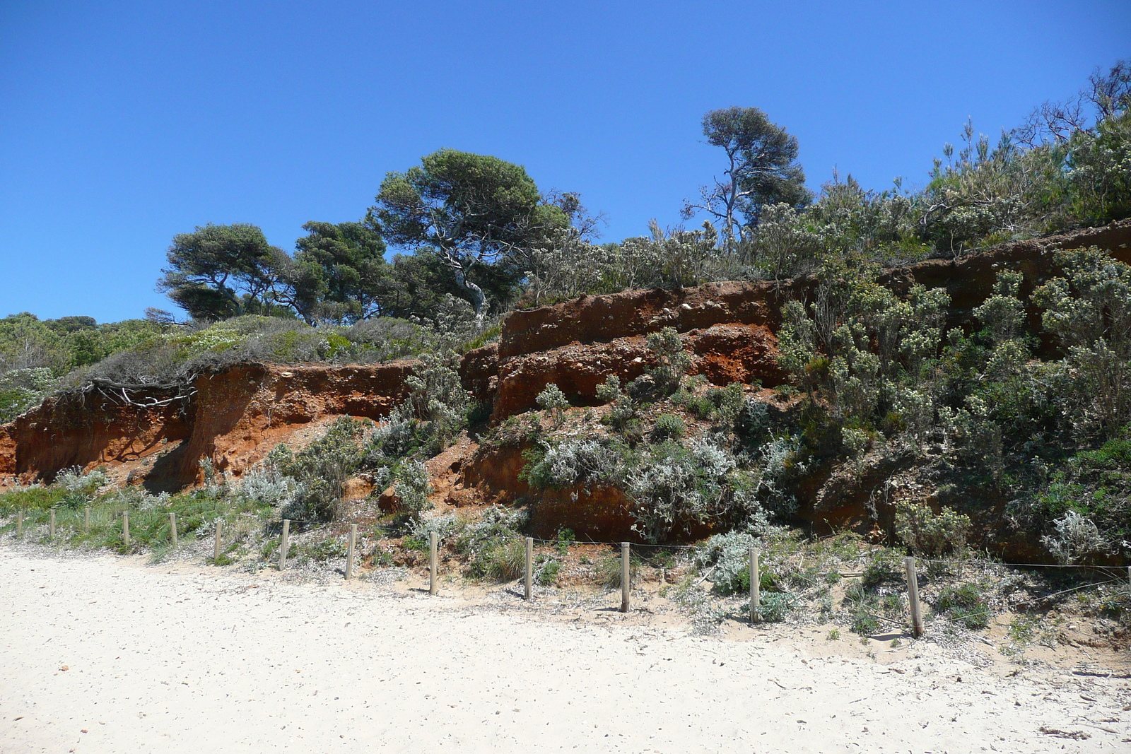รูปถ่าย ฝรั่งเศส(France) เกาะปอร์เกอรอล(Porquerolles Island) หาดกูร์ตาด(Courtade beach) 2008-05 27