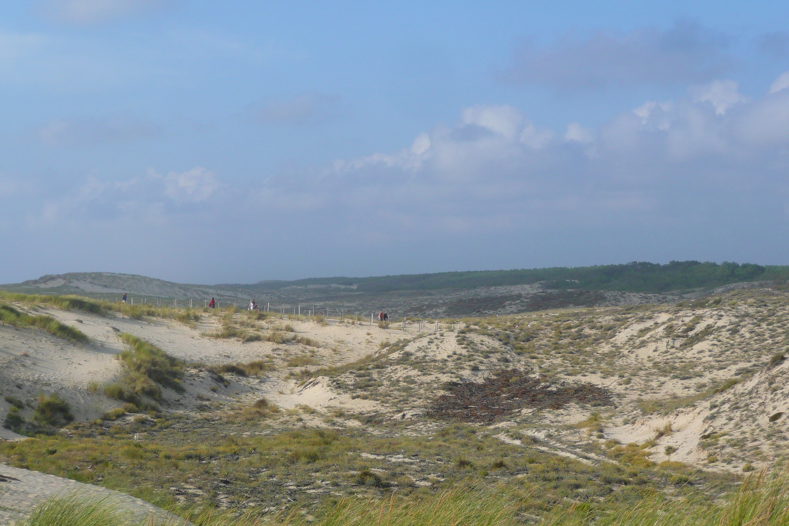 รูปถ่าย ฝรั่งเศส(France) ลากาโน(Lacanau) 2007-08 125