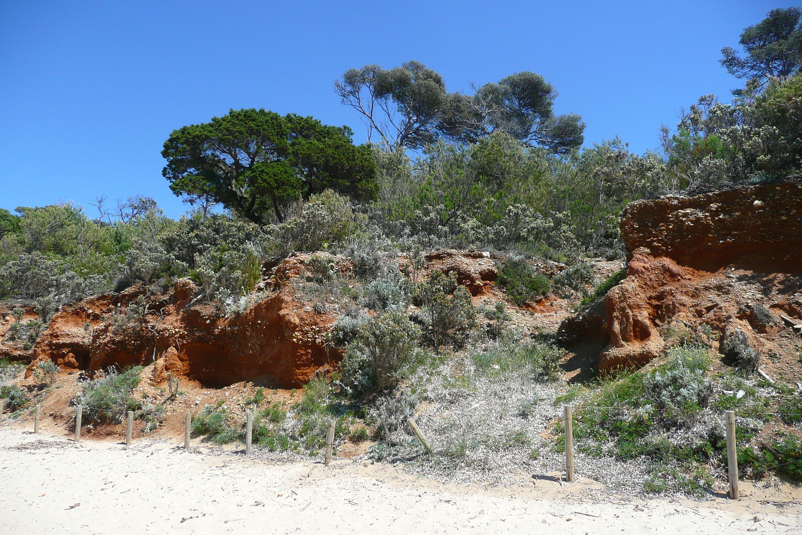 รูปถ่าย ฝรั่งเศส(France) เกาะปอร์เกอรอล(Porquerolles Island) หาดกูร์ตาด(Courtade beach) 2008-05 35
