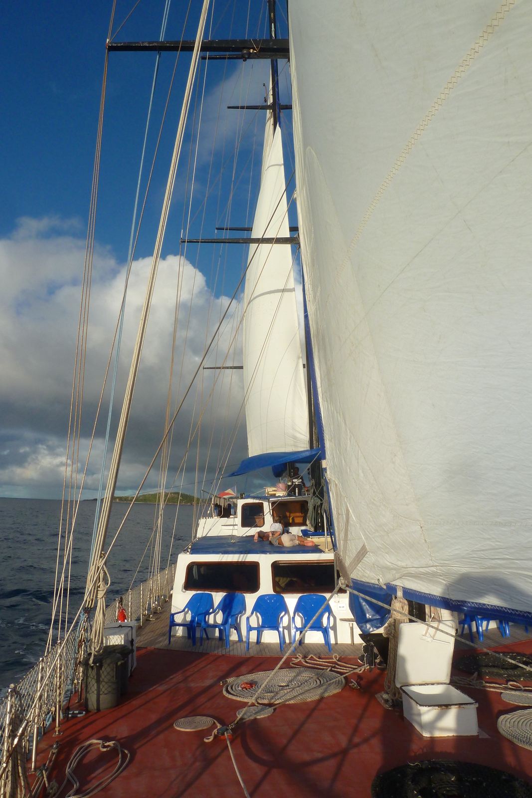 รูปถ่าย เซเชลส์(Seychelles) ซีสตาร์(Sea Star) 2011-10 59
