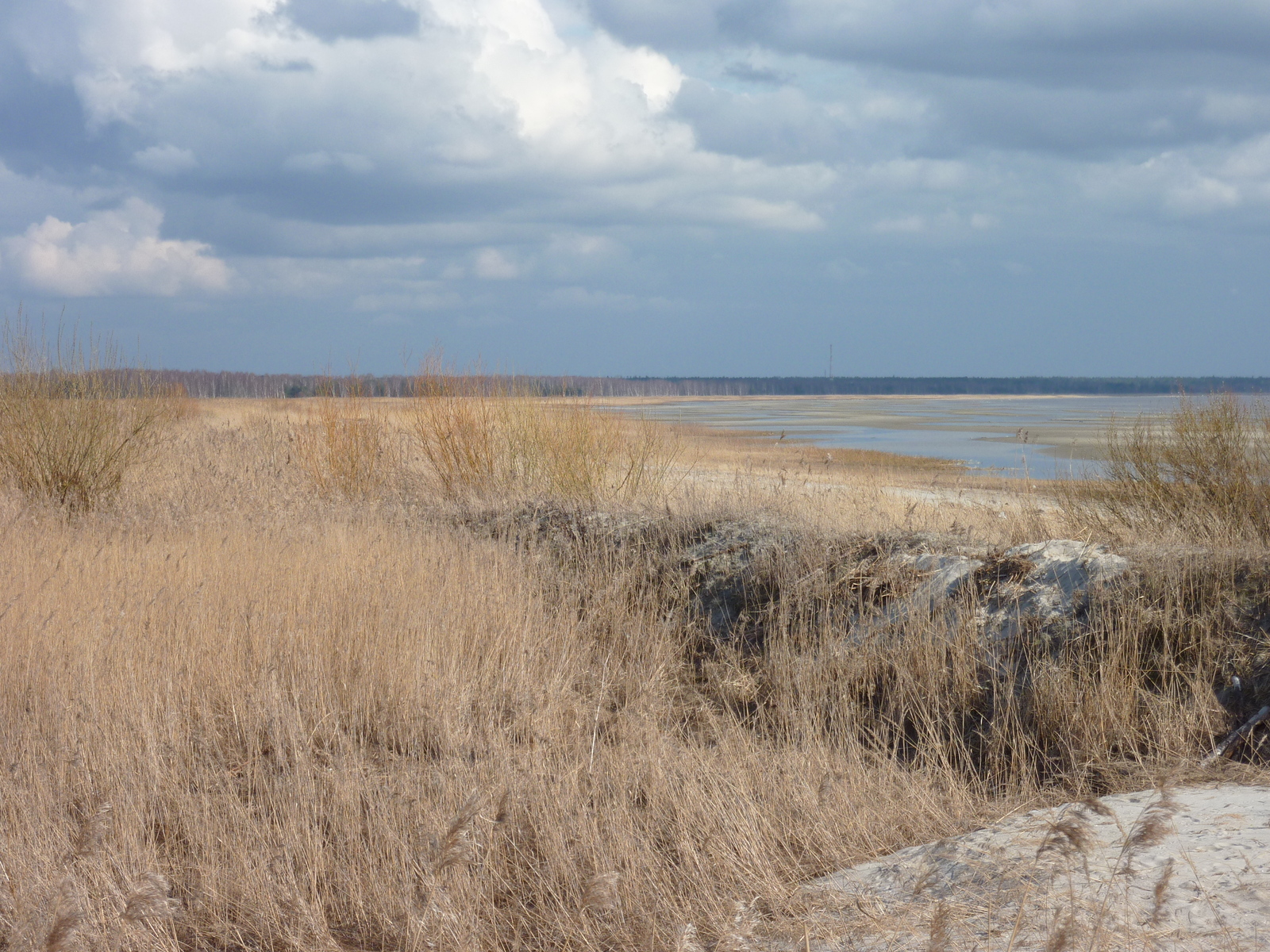 รูปถ่าย เอสโตเนีย(Estonia) แพร์นู(Parnu) 2009-04 0
