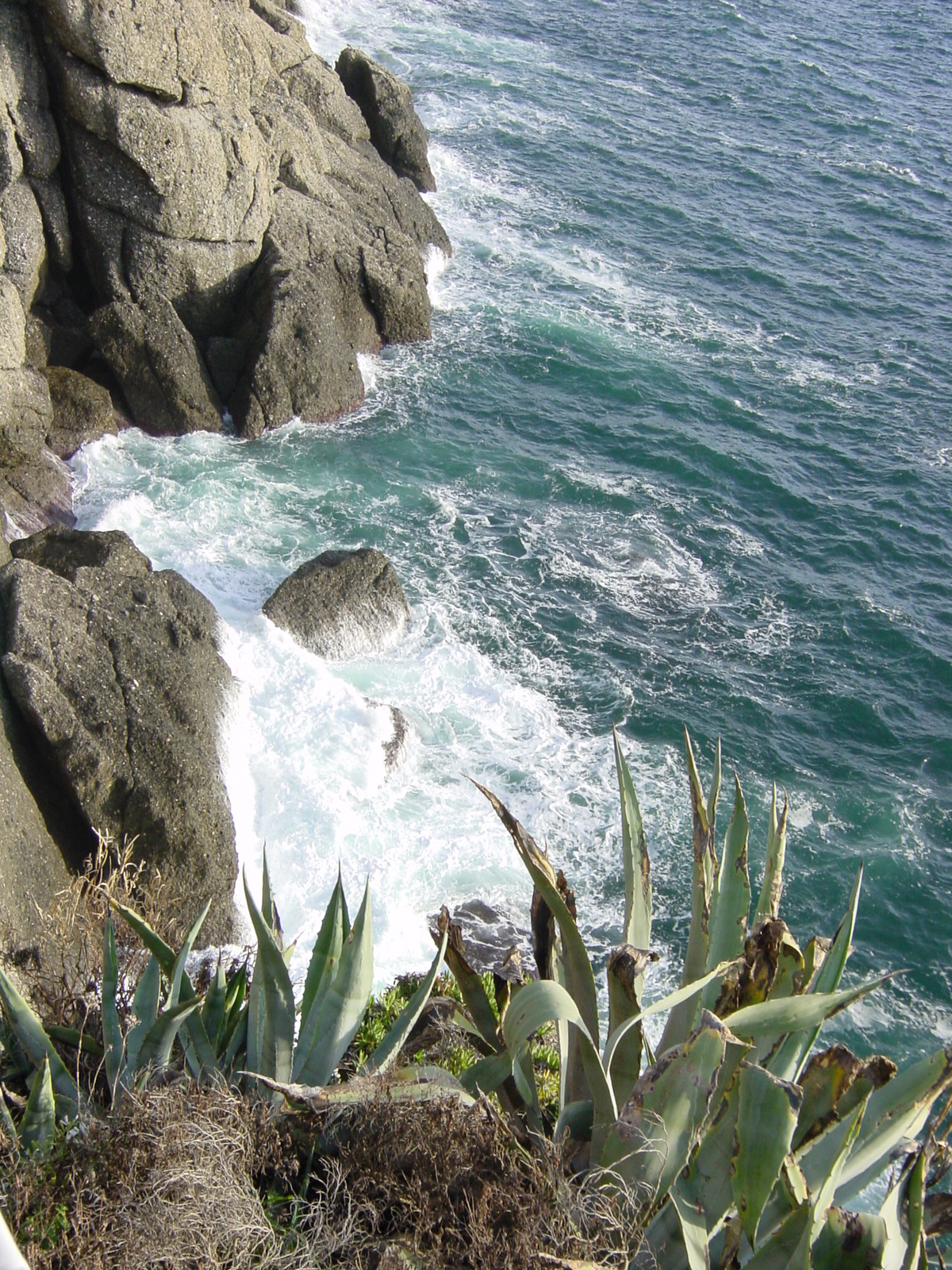 รูปถ่าย อิตาลี(Italy) ปอร์โตฟิโน่(Portofino) 2000-12 6