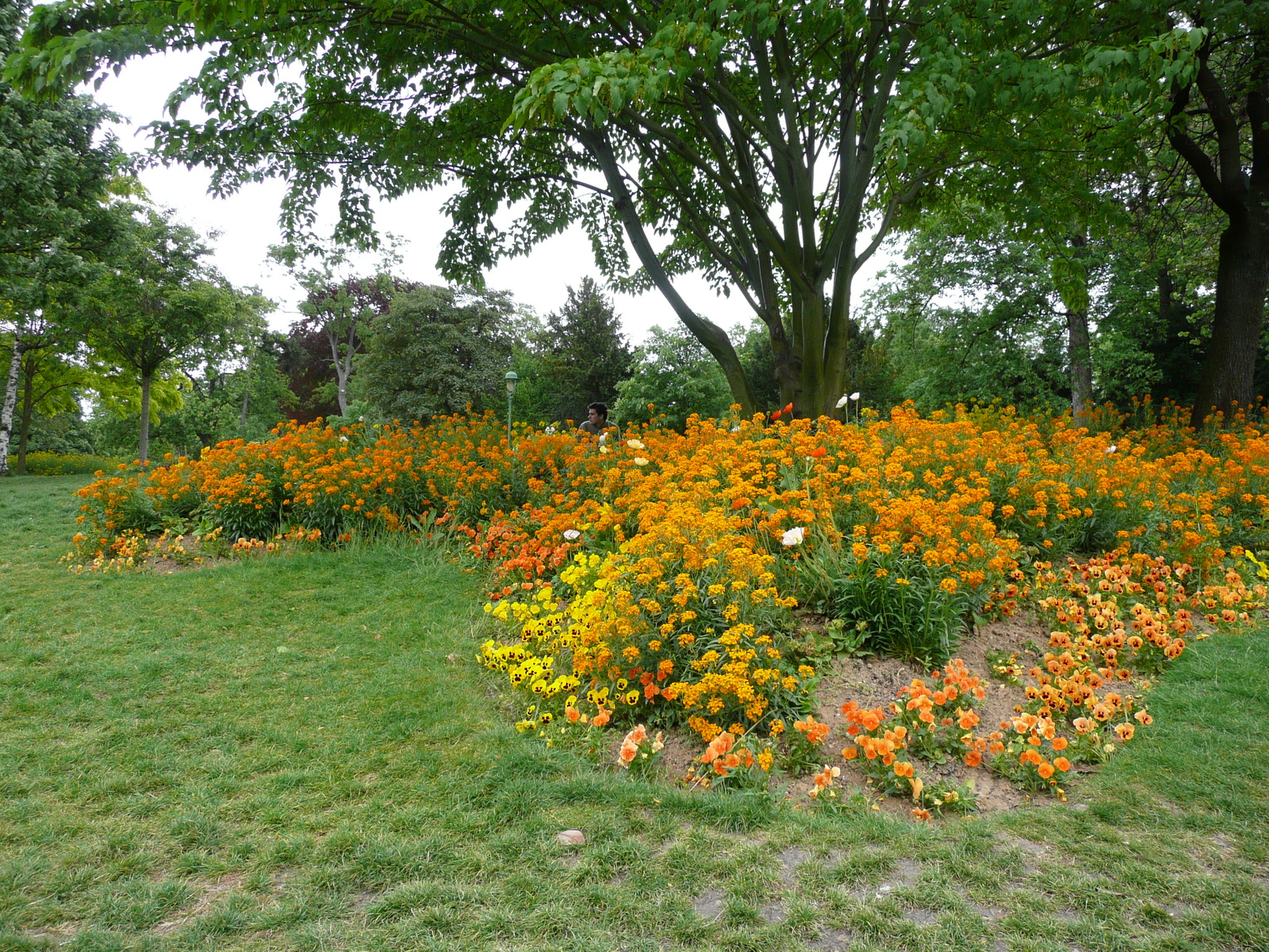 รูปถ่าย ฝรั่งเศส(France) ปารีส(Paris) สวนมงโซ(Monceau Garden) 2007-06 10