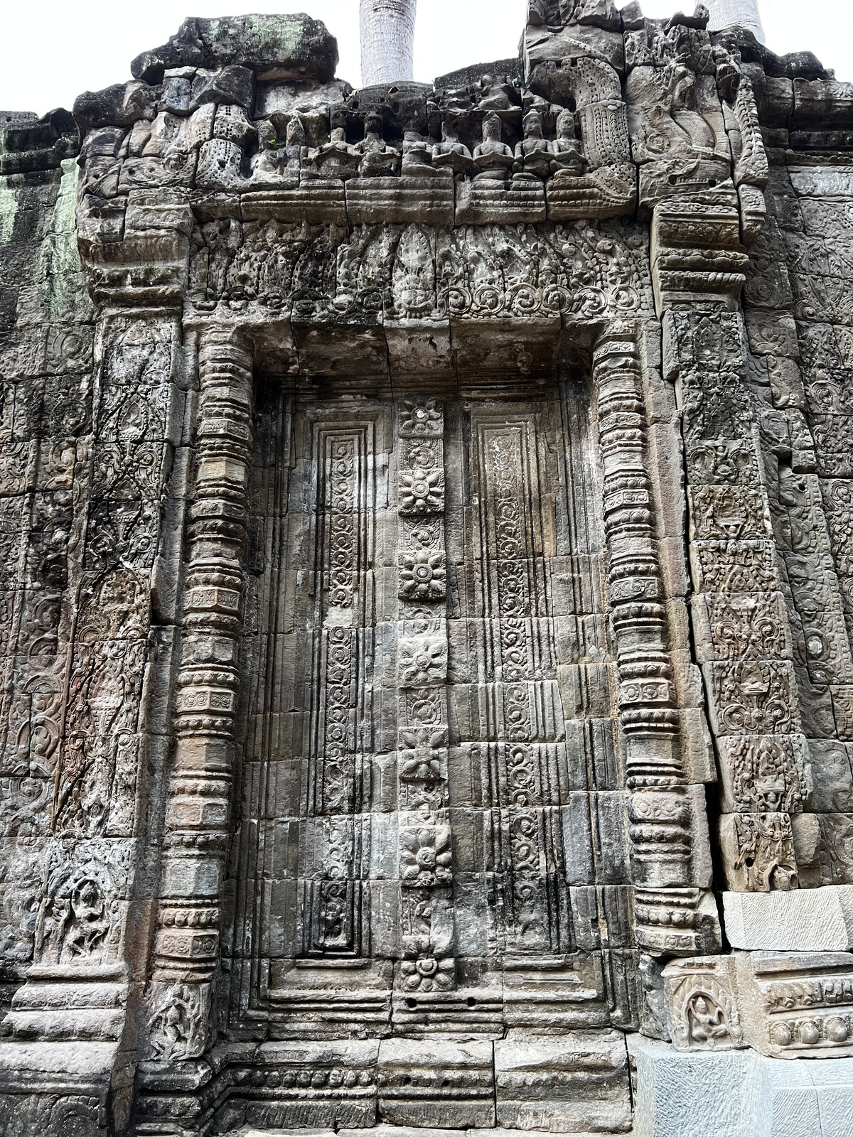 รูปถ่าย กัมพูชา(Cambodia) เสียมราฐ(Siem Reap) ปราสาทตาพรหม(Ta Prohm) 2023-01 96