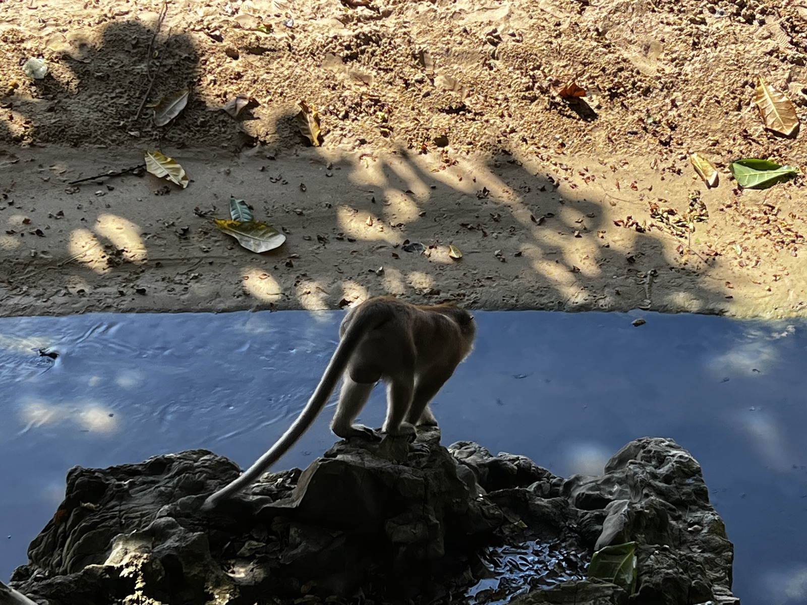 รูปถ่าย ไทย(Thailand) กระบี่(Krabi) อ่าวนาง(Ao Nang) 2023-01 47