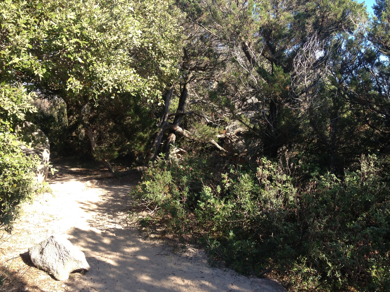 รูปถ่าย ฝรั่งเศส(France) คอร์สิคา(Corsica) ปาลอมบัจจา(Palombaggia) 2012-09 56