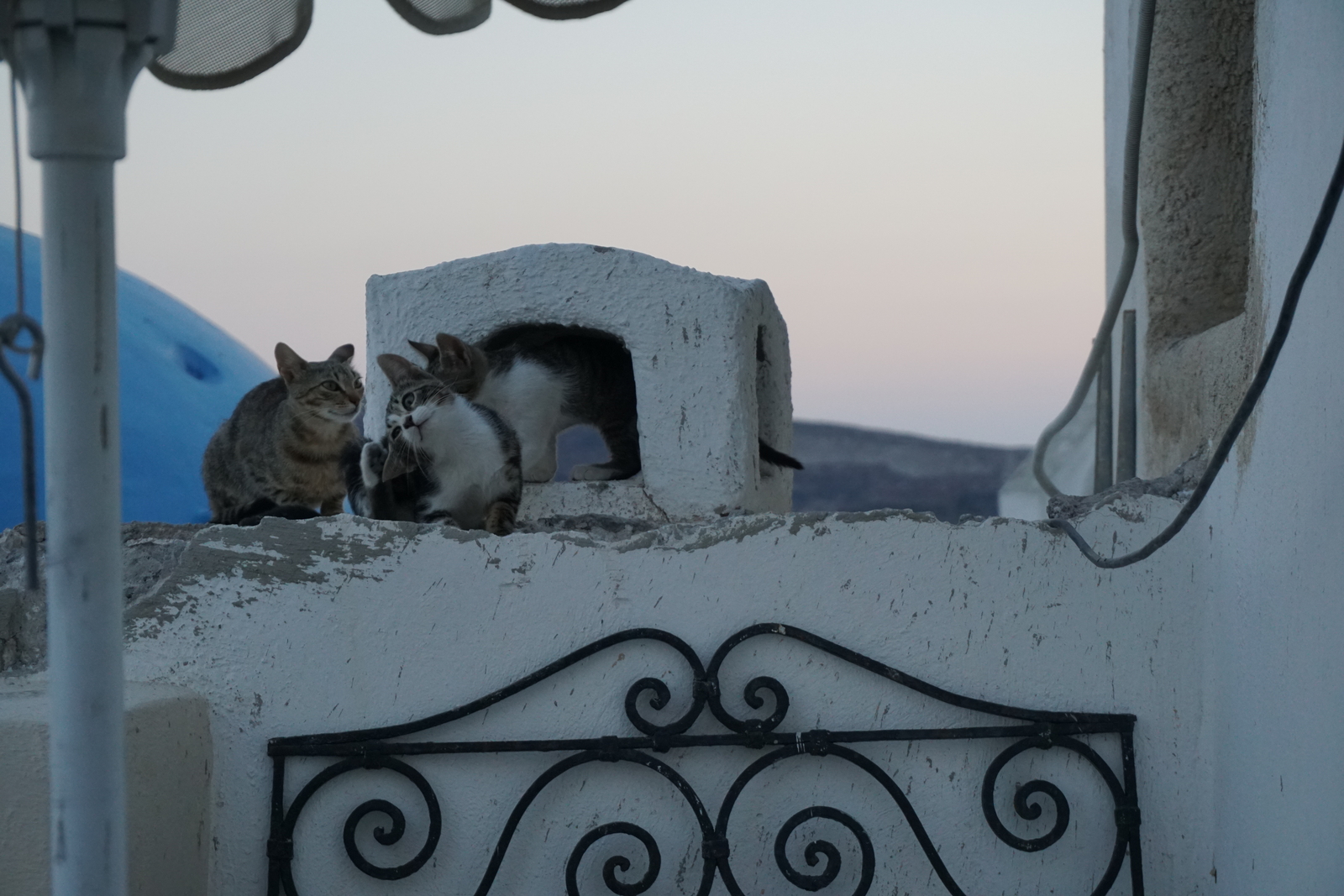 รูปถ่าย กรีก(Greece) ซานโตรินี(Santorini) บ้านถ้ำโอยา(Oia cave house) 2016-07 24