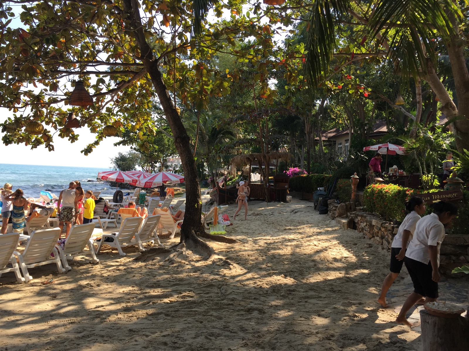 รูปถ่าย ไทย(Thailand) เกาะเสม็ด(Ko Samet) 2014-12 328