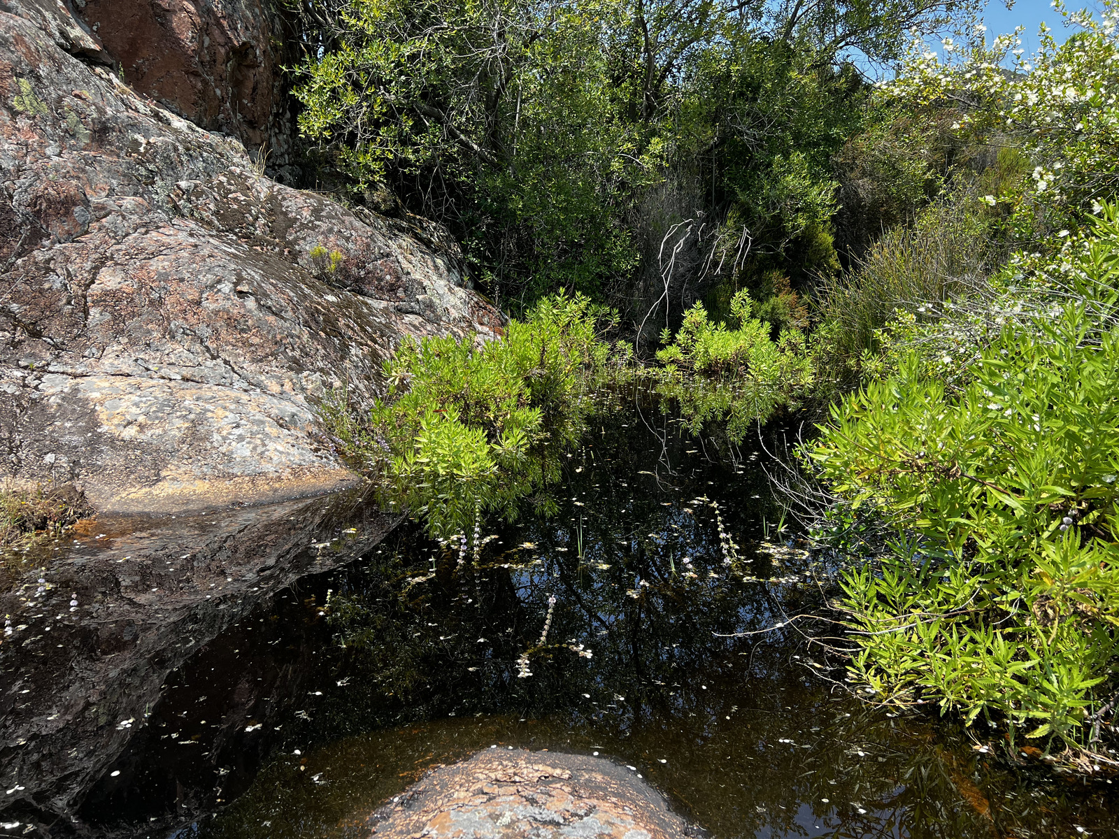 รูปถ่าย ฝรั่งเศส(France) คอร์สิคา(Corsica) แม่น้ำฟังโก(Fango river) 2023-06 18