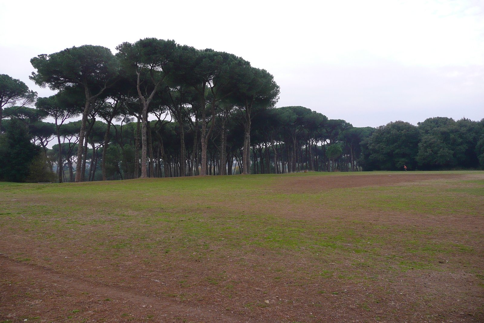 รูปถ่าย อิตาลี(Italy) โรม(Rome) วิลลาโดเรียปัมฟีลี(Villa Doria Pamphili) 2007-11 17