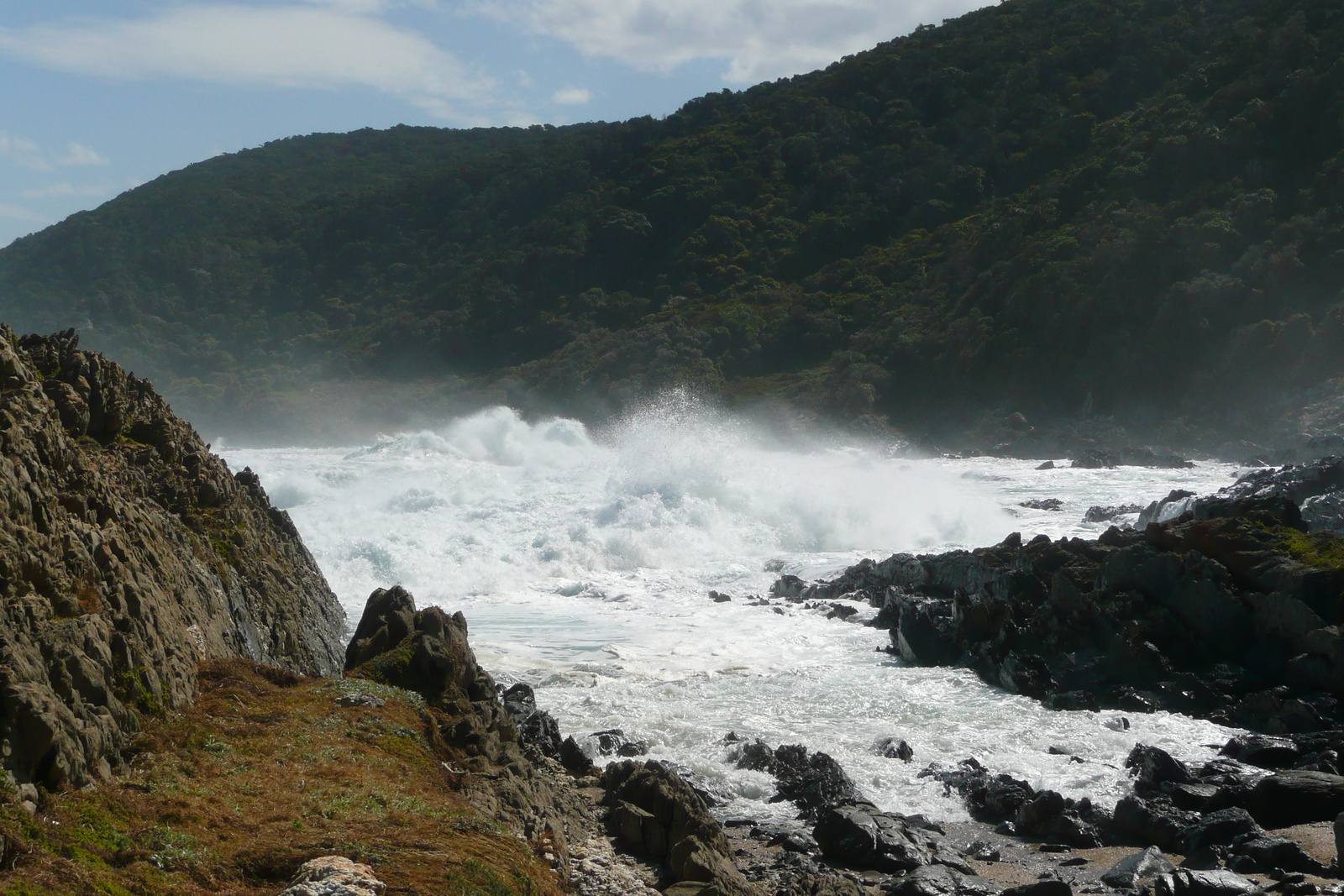 รูปถ่าย แอฟริกาใต้(South Africa) อุทยานแห่งชาติซิตซิคัมมา(Tsitsikamma National Park) 2008-09 366