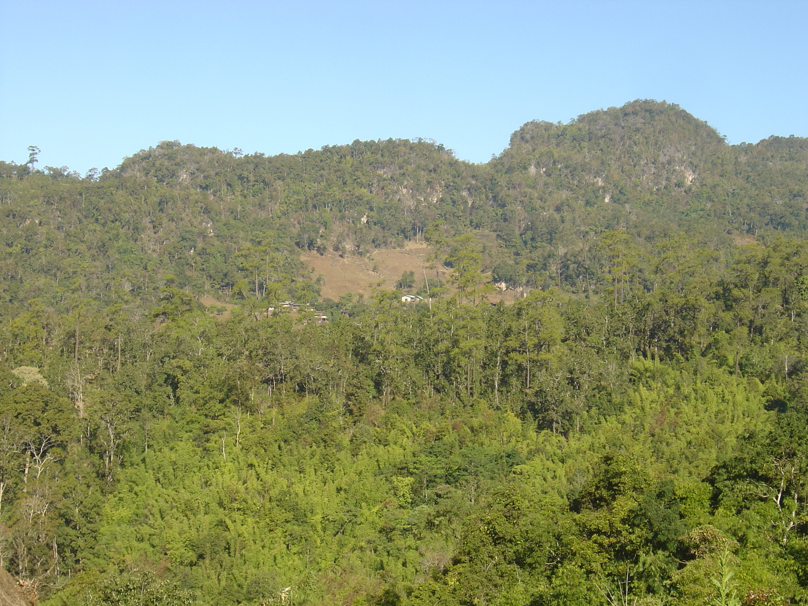 รูปถ่าย ไทย(Thailand) ปางมะผ้า(Pang Mapha) 2005-12 55