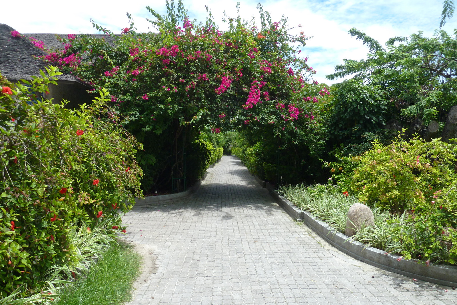 รูปถ่าย เซเชลส์(Seychelles) เกาะลาดีก(La Digue) 2011-10 144