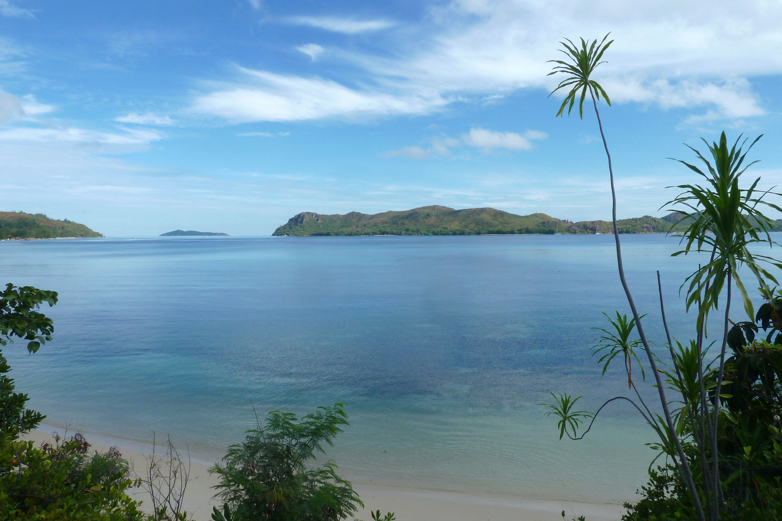 รูปถ่าย เซเชลส์(Seychelles) อ่าวอ็องส์ปอสเซสซียง(Anse Possession) 2011-10 77