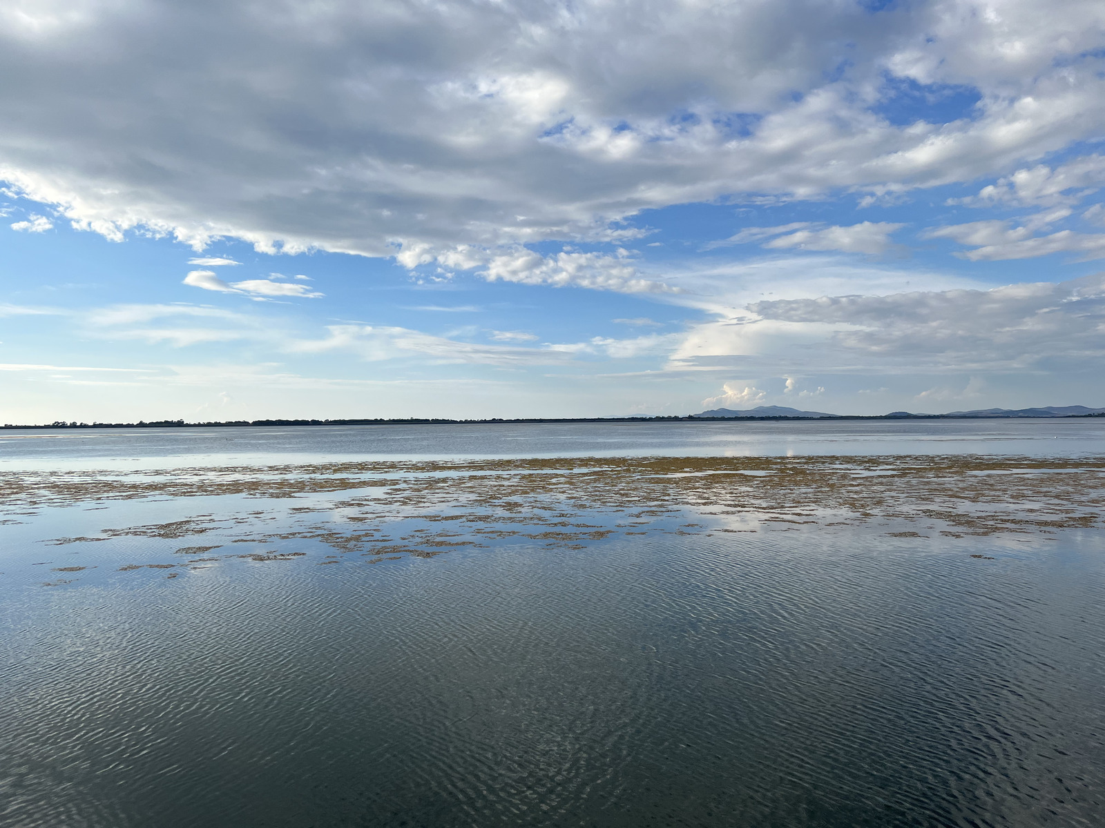 รูปถ่าย อิตาลี(Italy) ออร์เบเตลโล(Orbetello) 2021-09 8