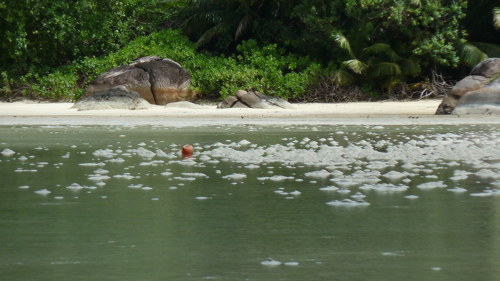 รูปถ่าย เซเชลส์(Seychelles) เกาะมาเฮ(Mahe) 2011-10 205