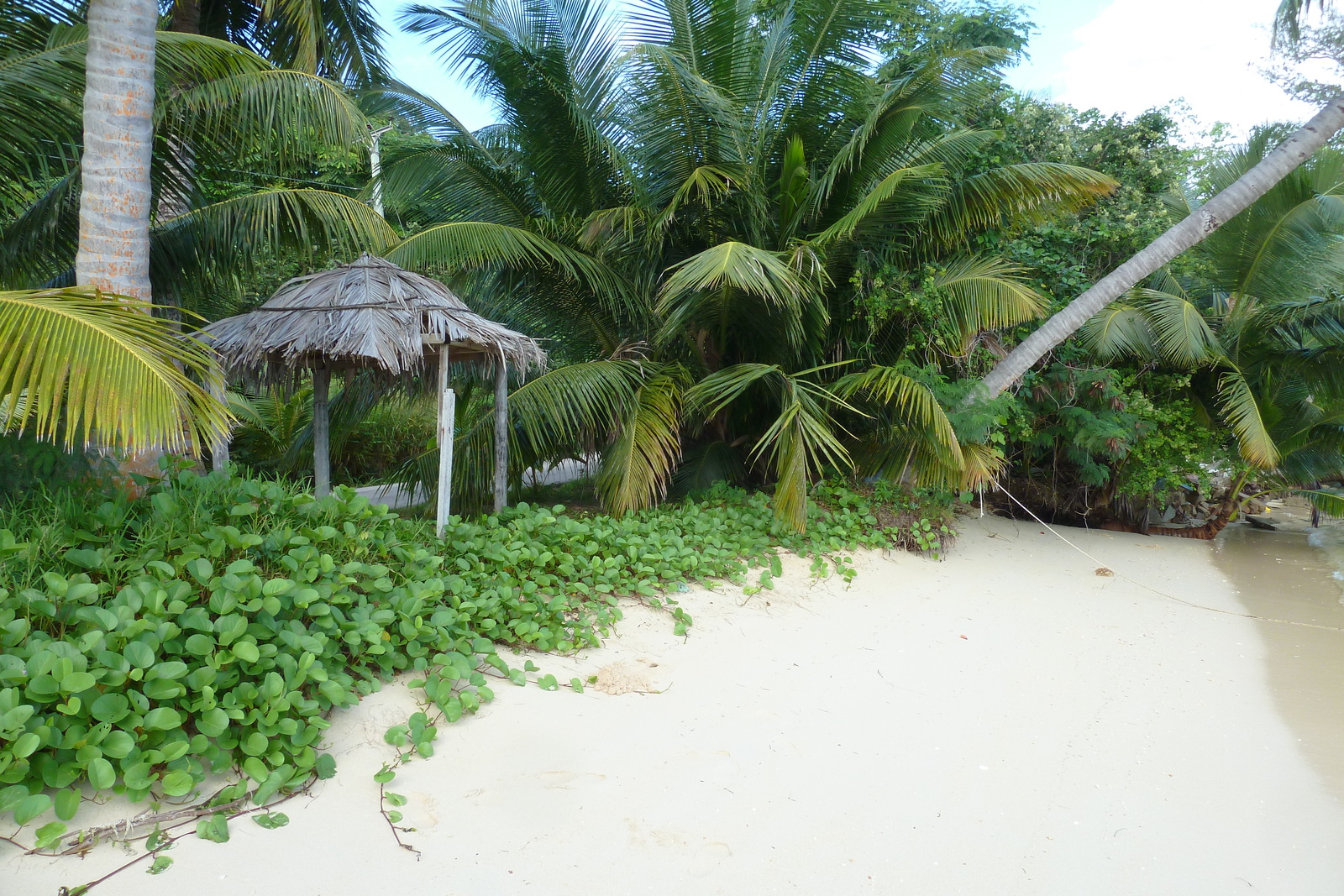 รูปถ่าย เซเชลส์(Seychelles) อ่าวอ็องส์ปอสเซสซียง(Anse Possession) 2011-10 16