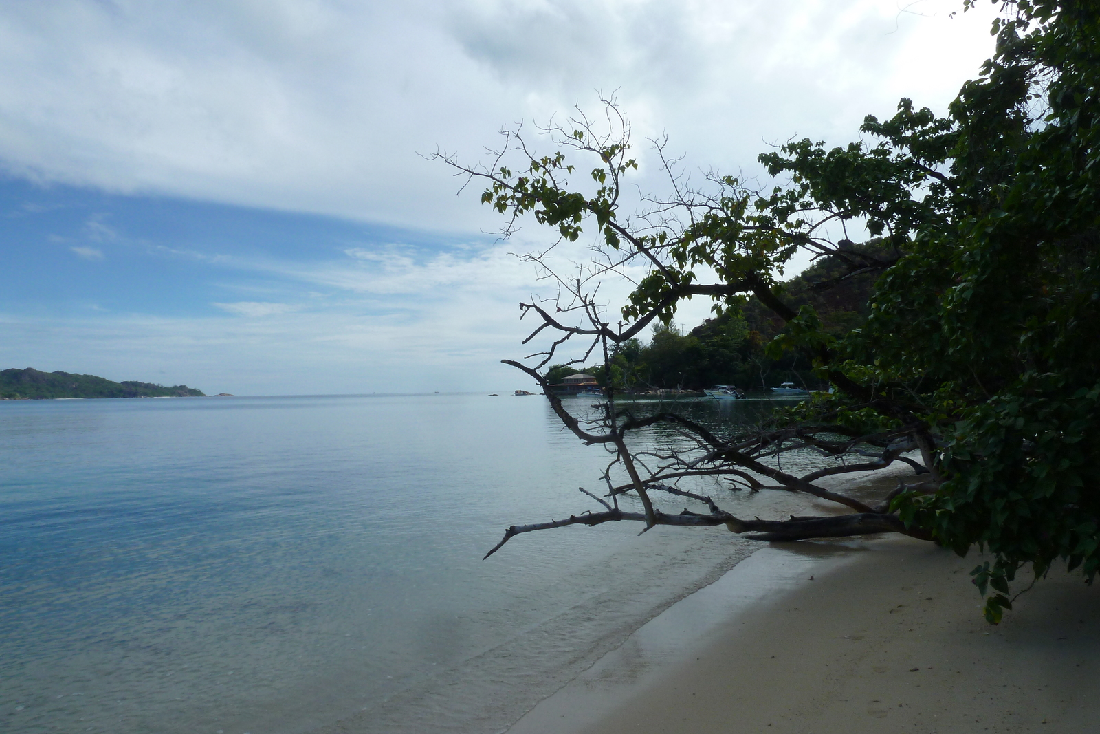 รูปถ่าย เซเชลส์(Seychelles) อ่าวอ็องส์ปอสเซสซียง(Anse Possession) 2011-10 21