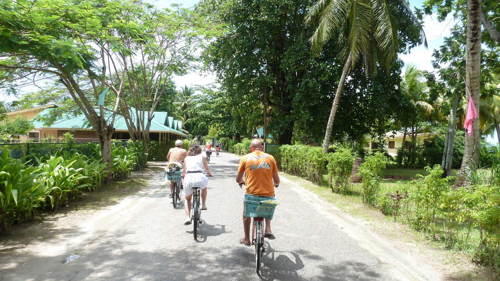 รูปถ่าย เซเชลส์(Seychelles) เกาะลาดีก(La Digue) 2011-10 100