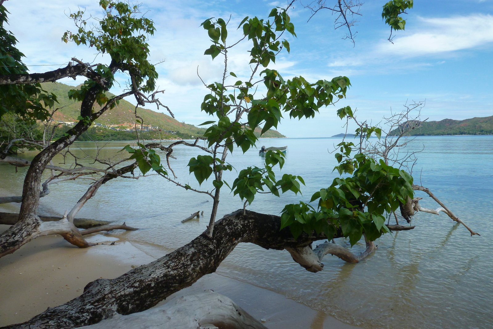 รูปถ่าย เซเชลส์(Seychelles) 2011-10 70