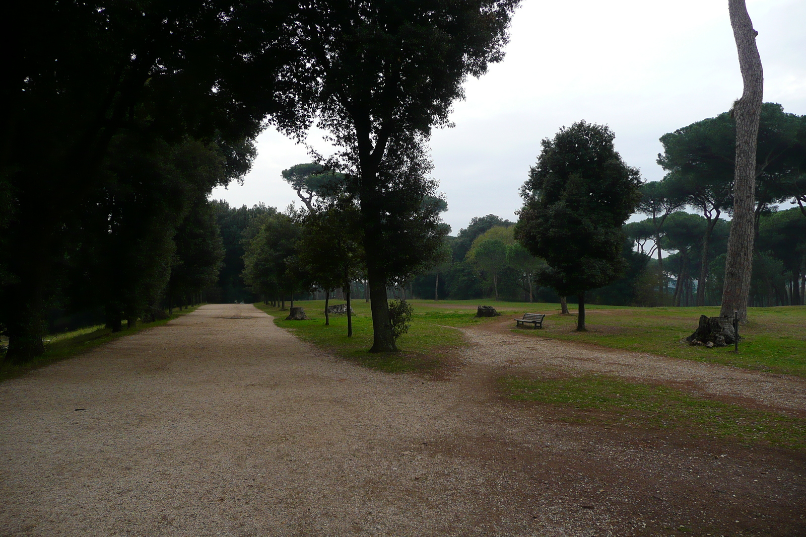 รูปถ่าย อิตาลี(Italy) โรม(Rome) วิลลาโดเรียปัมฟีลี(Villa Doria Pamphili) 2007-11 13