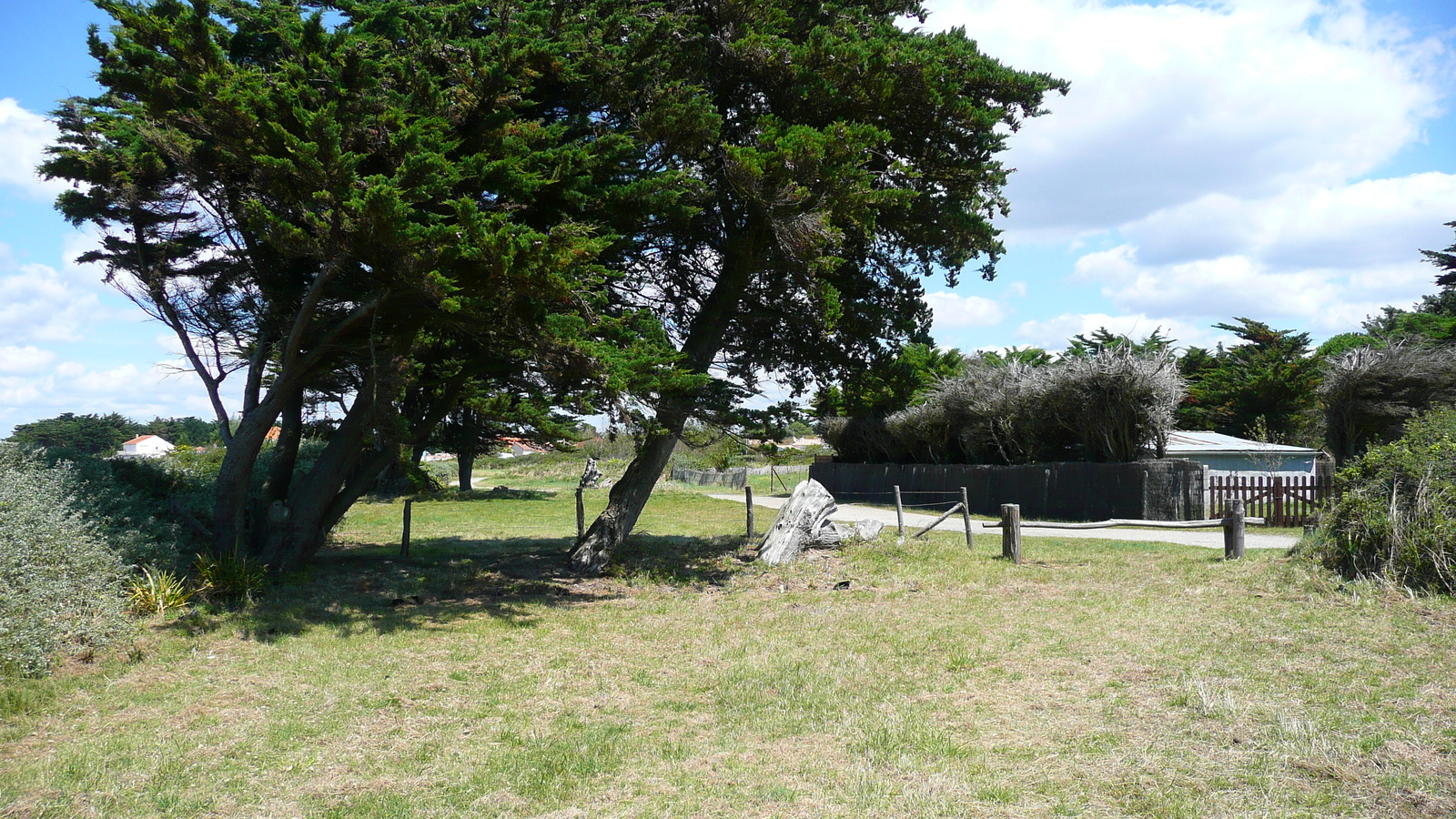 รูปถ่าย ฝรั่งเศส(France) เพรฟาย(Prefailles) จากแหลมแซ็ง-ฌีลดาไปลาเปร(La pointe Saint Gildas to La Pree) 2007-08 72