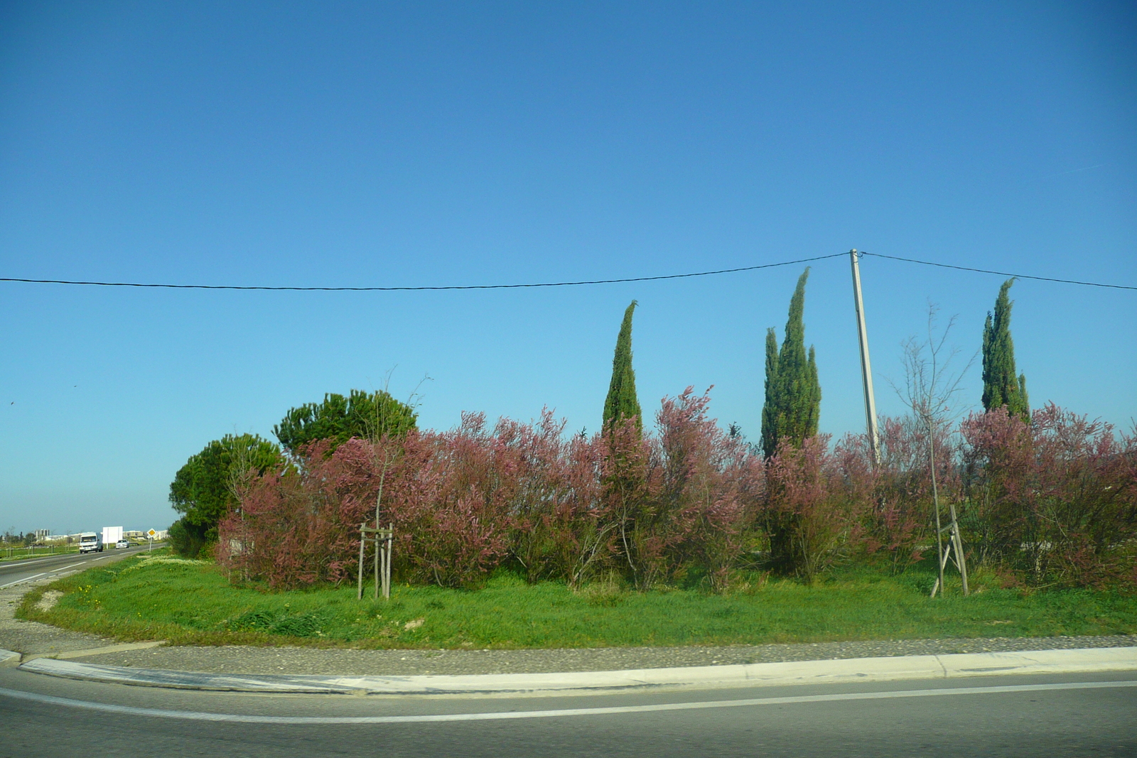 รูปถ่าย ฝรั่งเศส(France) โพรว็องส์(Provence) ถนนจากโบเดอโพรว็องส์ไปตาราสกง(Baux de Provence to Tarascon road) 2008-04 1