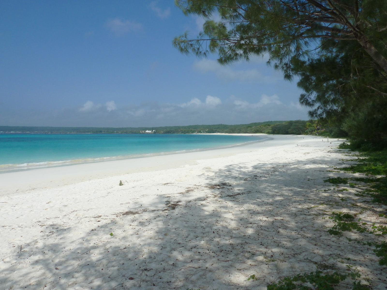 รูปถ่าย นิวแคลิโดเนีย(New Caledonia) เกาะลีฟู(Lifou) อ่าวชาโตบรีย็อง(Chateaubriand Bay) 2010-05 88