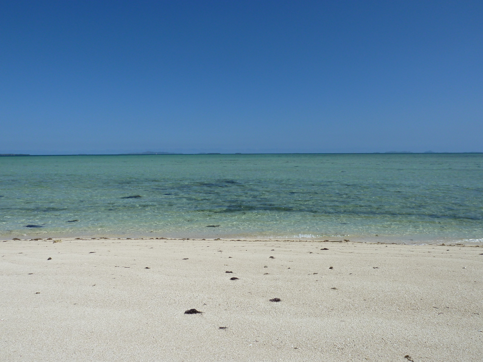 รูปถ่าย ฟิจิ(Fiji) 2010-05 112
