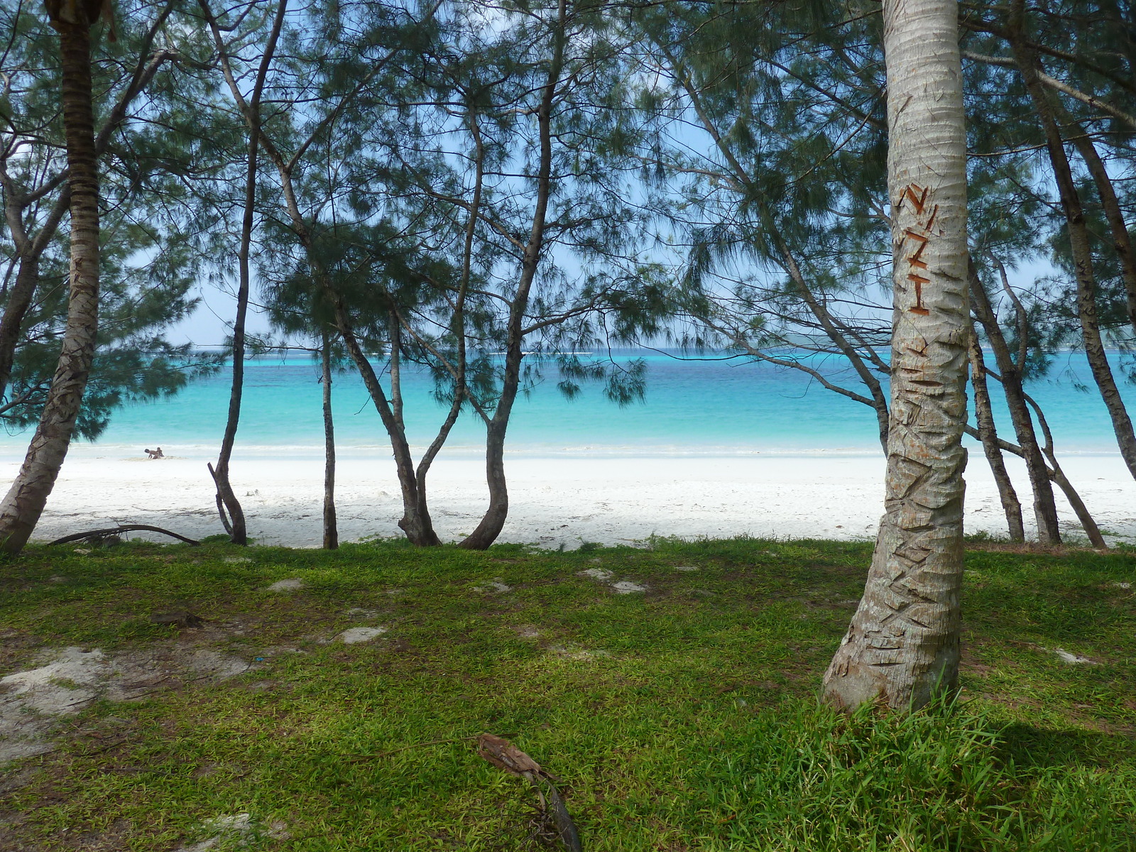 รูปถ่าย นิวแคลิโดเนีย(New Caledonia) เกาะลีฟู(Lifou) อ่าวชาโตบรีย็อง(Chateaubriand Bay) 2010-05 93