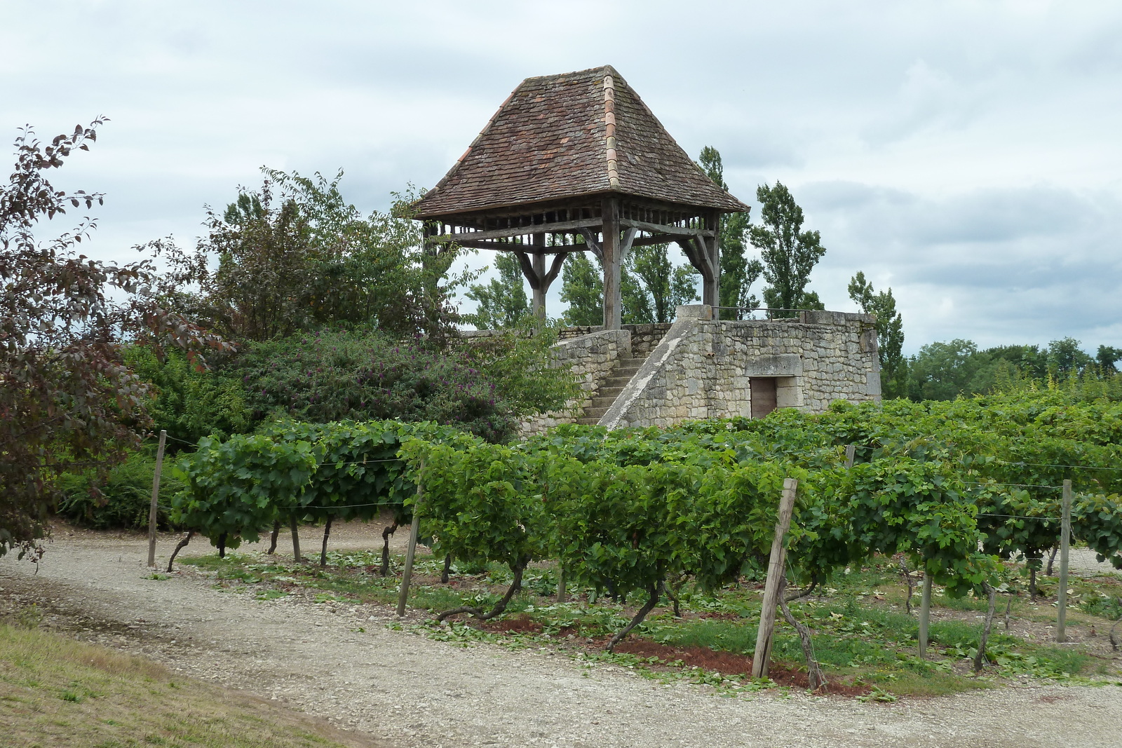 รูปถ่าย ฝรั่งเศส(France) มงบาซียัก(Monbazillac) 2010-08 10