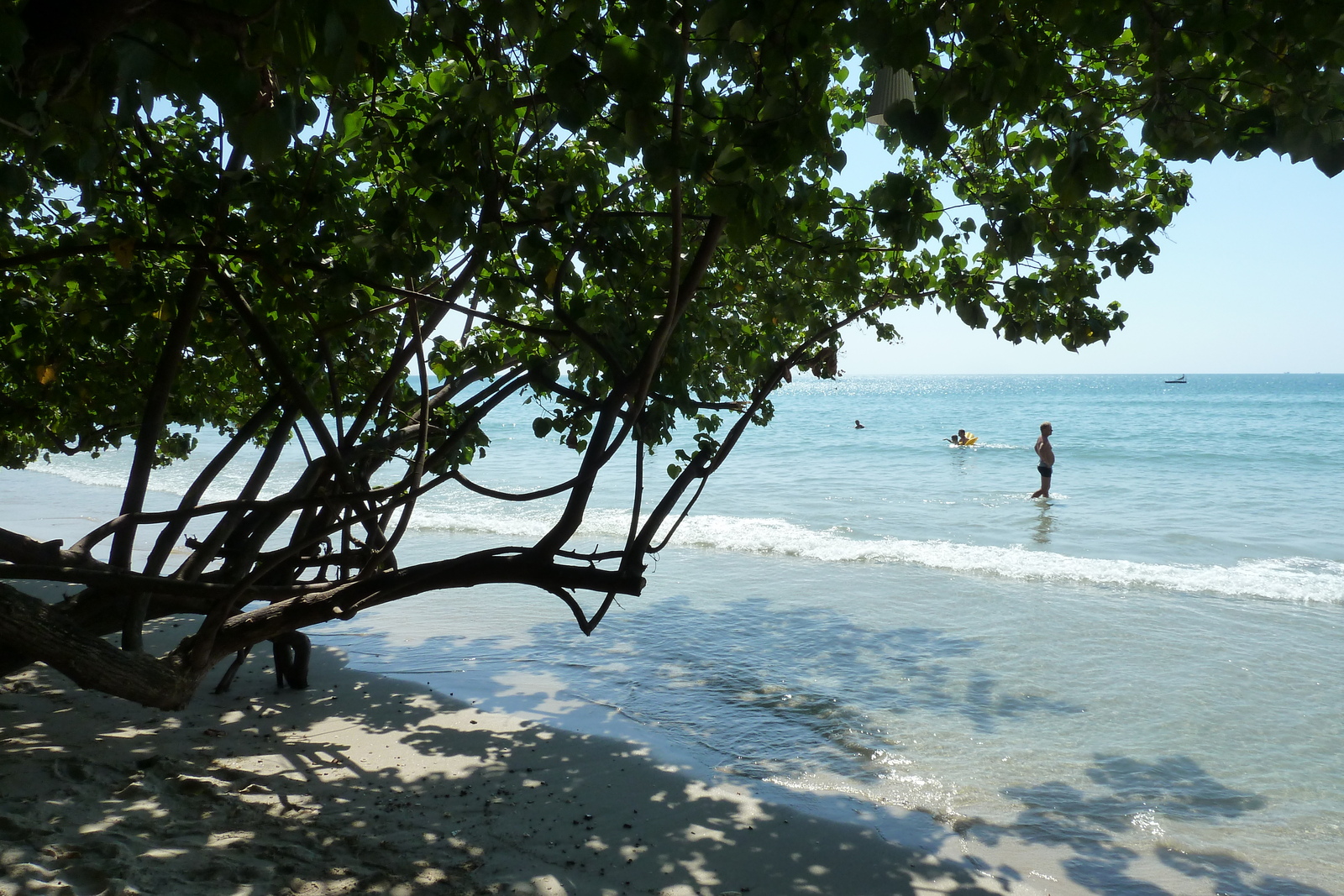 รูปถ่าย ไทย(Thailand) เกาะช้าง(Ko Chang) 2011-01 74