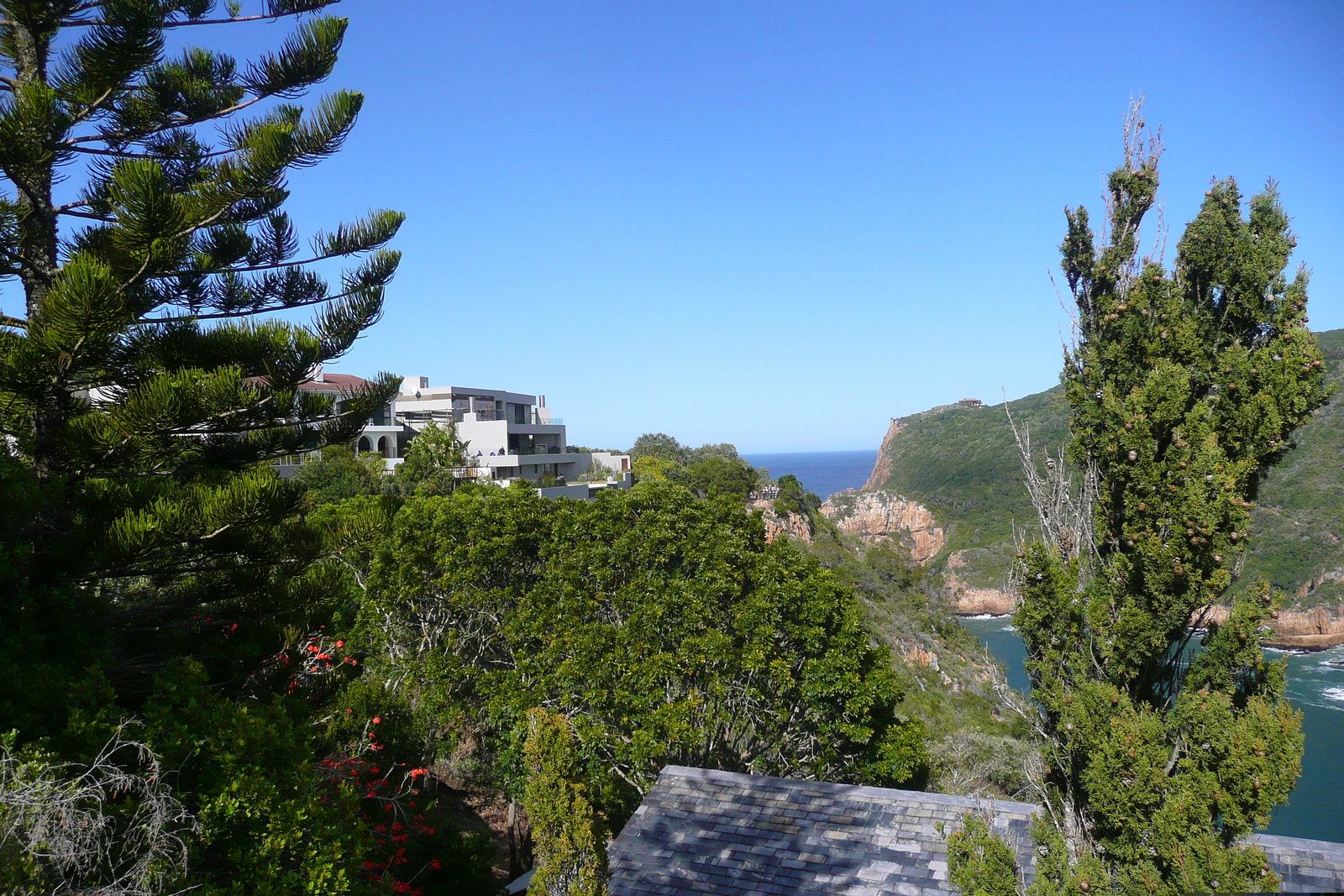 รูปถ่าย แอฟริกาใต้(South Africa) ไนส์นาเฮดส์(Knysna Heads) 2008-09 38