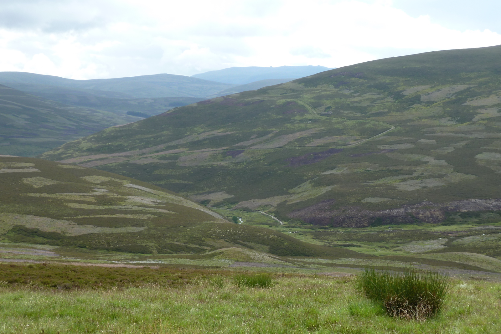 รูปถ่าย อังกฤษ(United Kingdom) อุทยานแห่งชาติแคร์นกอร์มส์(Cairngorms National Park) 2011-07 139