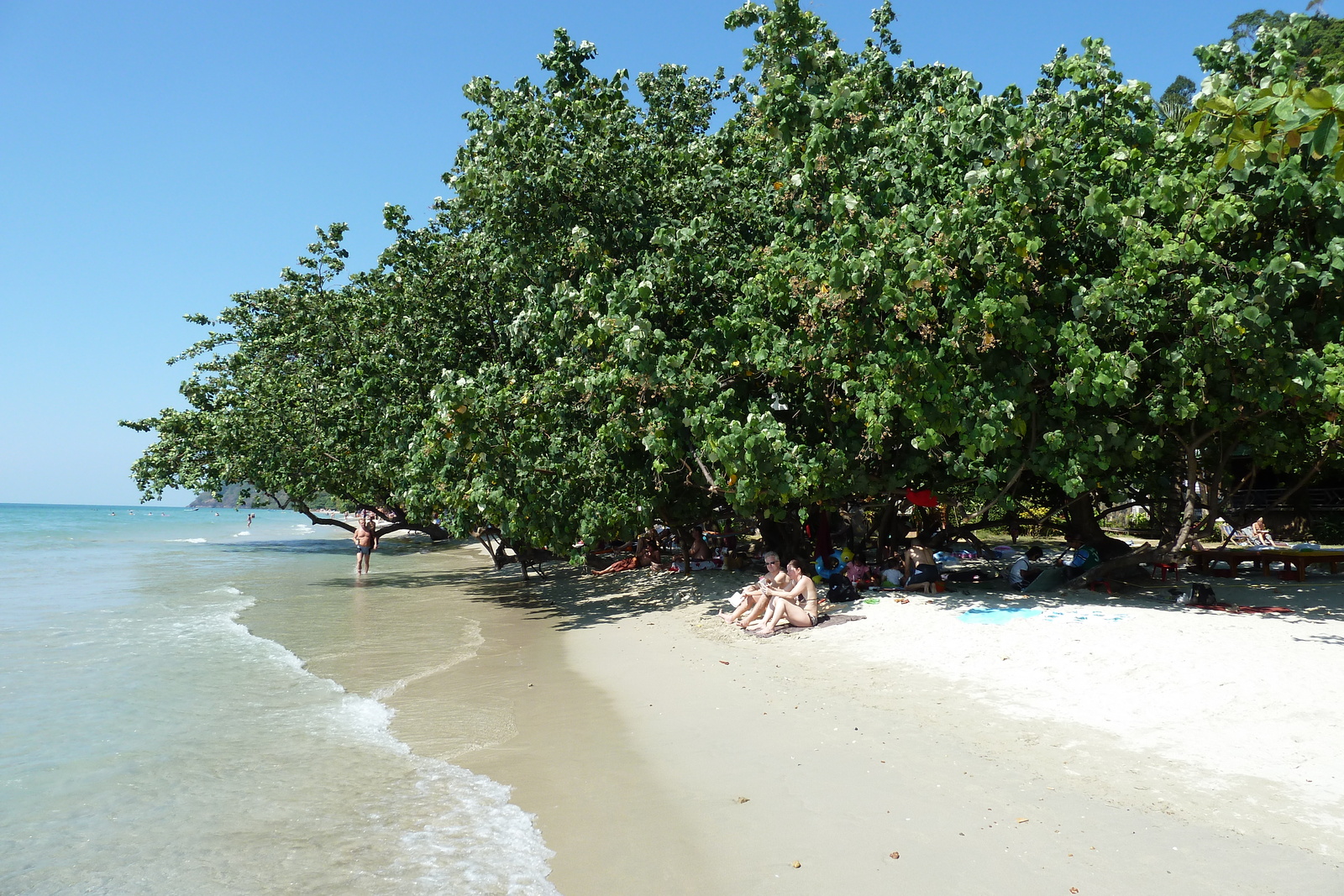 รูปถ่าย ไทย(Thailand) เกาะช้าง(Ko Chang) 2011-01 37